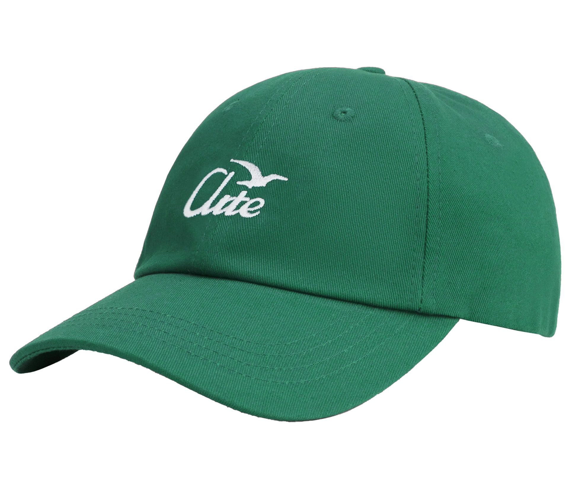 BIRD LOGO CAP GREEN